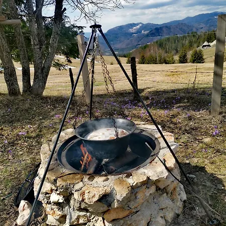 Tarskasipa *
